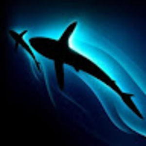 Meet your Posher, Nitya